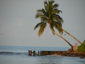 Another beautifully lazy day along the Marco coast.